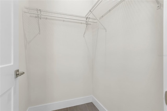 walk in closet with dark wood finished floors