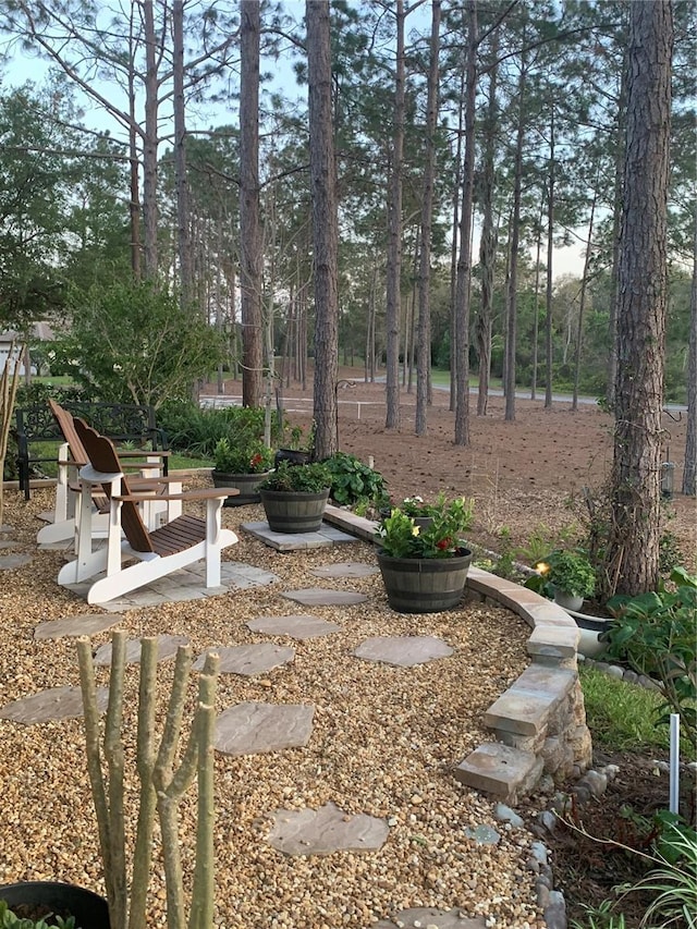 view of yard featuring a patio