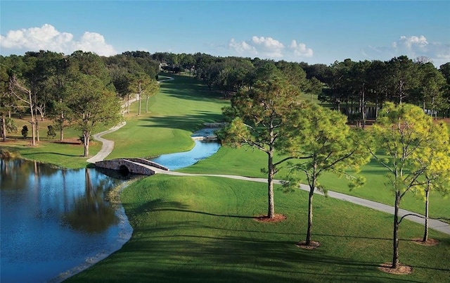 view of property's community featuring a water view and a lawn