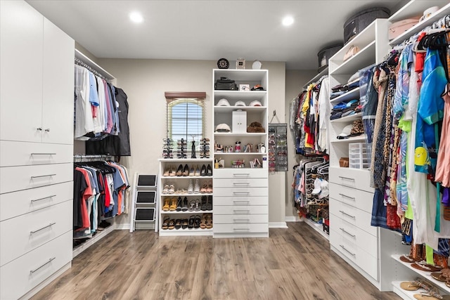 spacious closet with wood finished floors