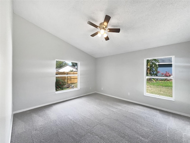 spare room featuring carpet floors, a healthy amount of sunlight, and a textured ceiling