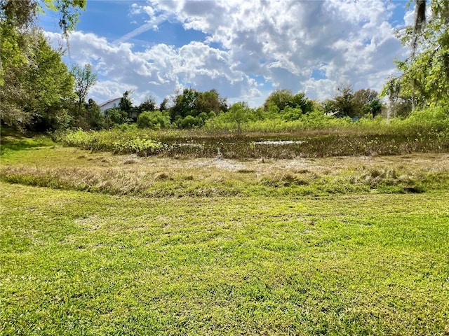 view of local wilderness