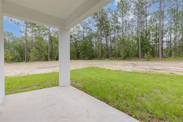 view of yard with a patio area