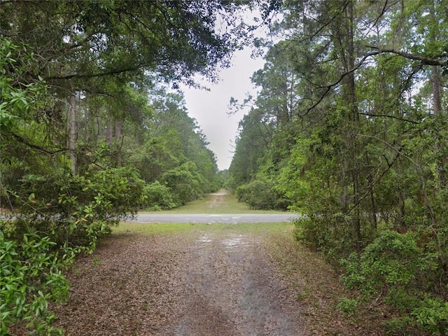 218 SE 1st St, Georgetown FL, 32139 land for sale