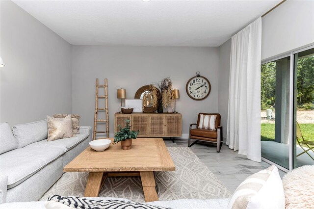13274 SW 82nd Ln, Dunnellon, FL 34432 - living room featuring light wood-type flooring