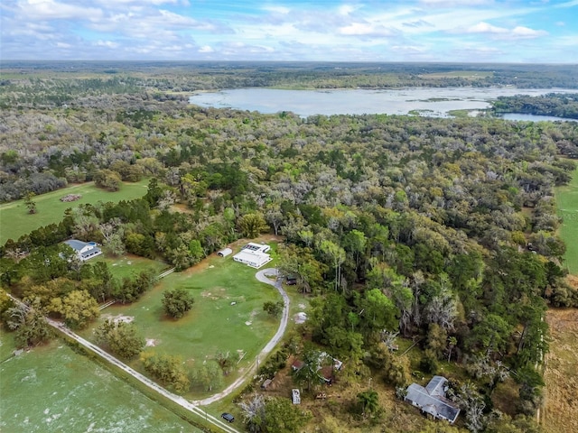 drone / aerial view featuring a water view and a view of trees