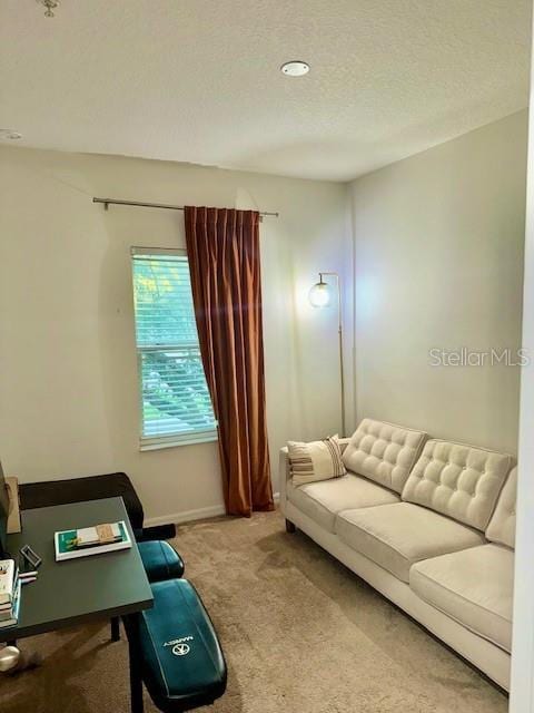 living area with a textured ceiling, carpet, and baseboards