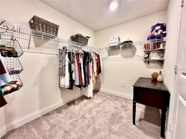 spacious closet with carpet floors