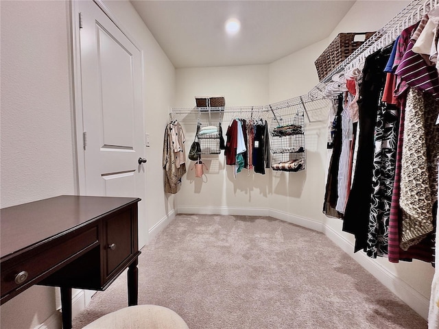 spacious closet with light carpet