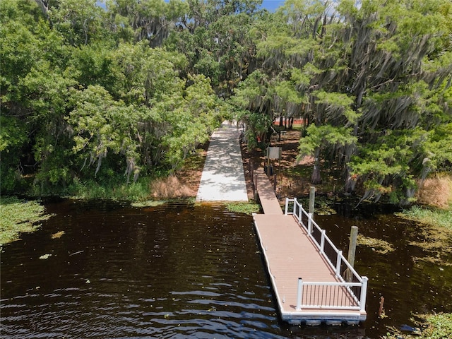 dock area featuring a water view and a view of trees