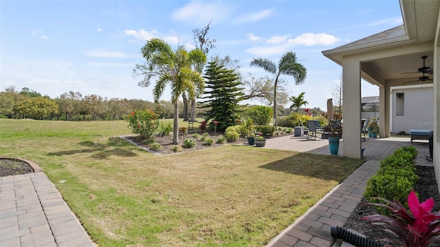 view of yard with a patio area and a ceiling fan