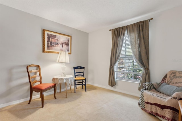 living area with baseboards and carpet floors