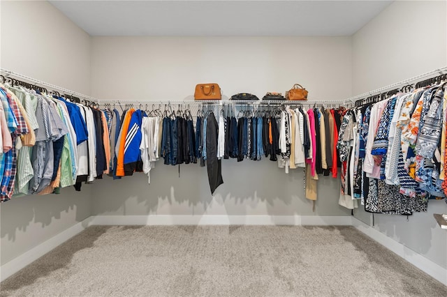 spacious closet featuring carpet floors