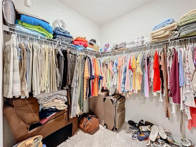 walk in closet featuring carpet floors