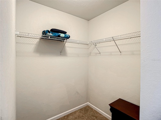 walk in closet featuring carpet floors