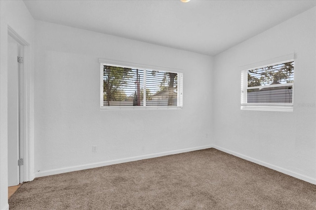 spare room with carpet flooring, plenty of natural light, and baseboards