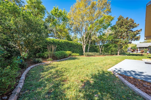 view of yard with a patio area