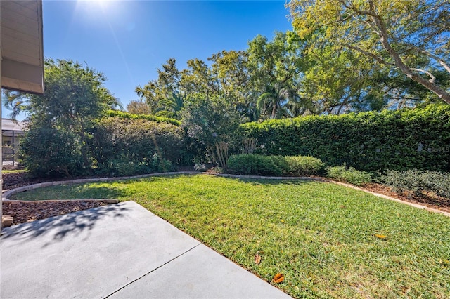 view of yard featuring a patio