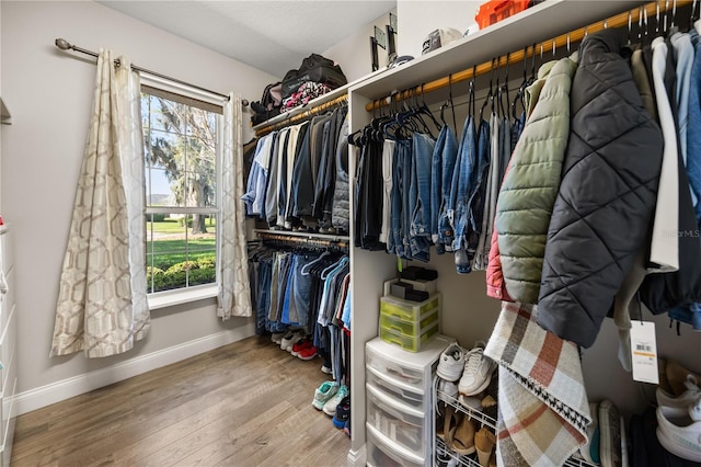 walk in closet featuring wood finished floors