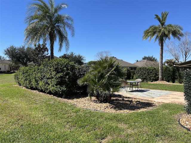 view of yard with a patio area