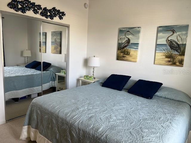 6832 SW 93rd Ave, Ocala, FL 34481 - bedroom with a closet and carpet floors