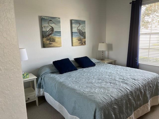 6832 SW 93rd Ave, Ocala, FL 34481 - bedroom with carpet flooring