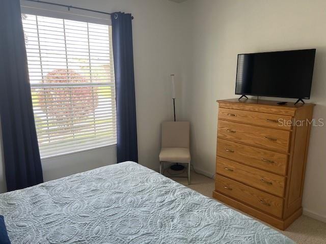 6832 SW 93rd Ave, Ocala, FL 34481 - bedroom featuring light carpet and multiple windows