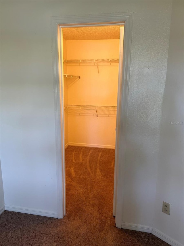 spacious closet featuring carpet floors