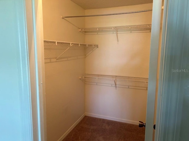 spacious closet with carpet floors