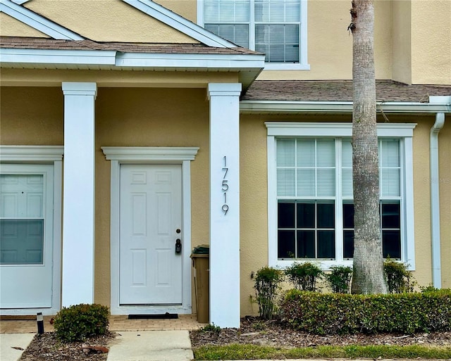 doorway to property featuring roof with shingles and stucco siding