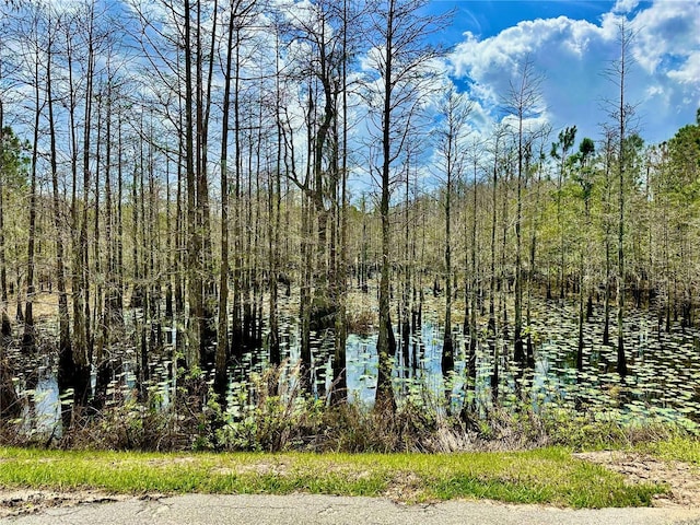 view of local wilderness with a forest view