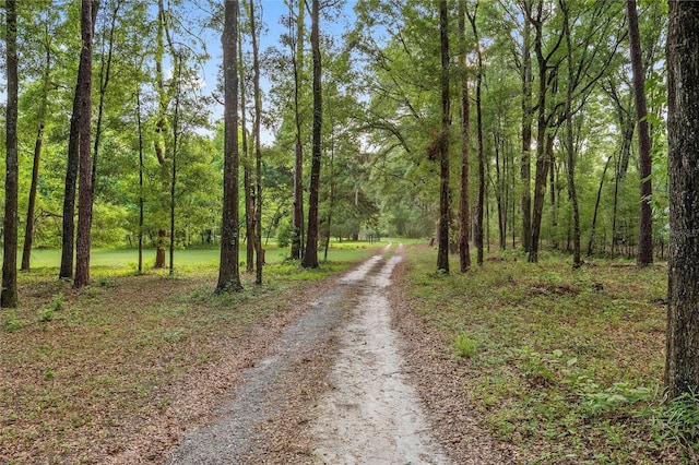 view of road