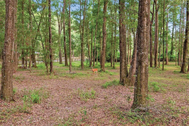 view of local wilderness