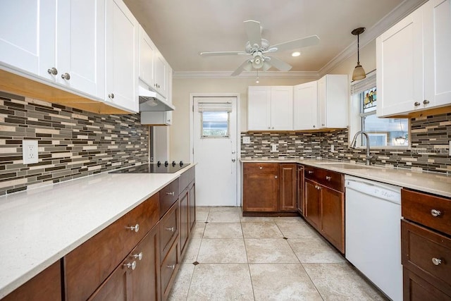 kitchen featuring dishwasher, black electric cooktop, light countertops, under cabinet range hood, and a sink