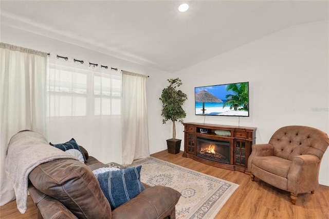 living room with wood finished floors and a glass covered fireplace