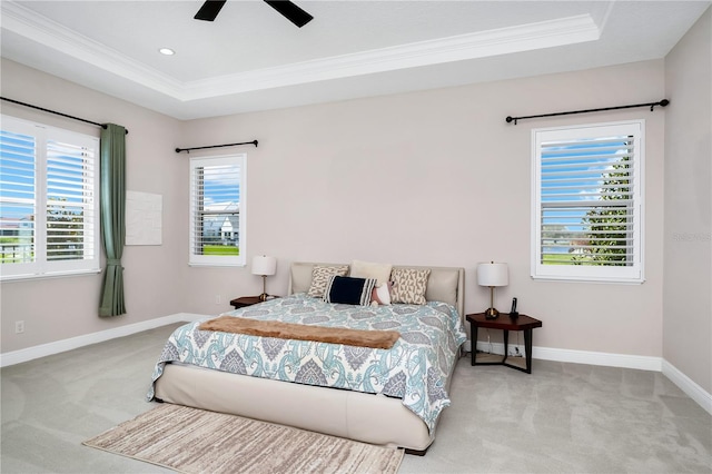 bedroom featuring multiple windows, carpet flooring, and a raised ceiling