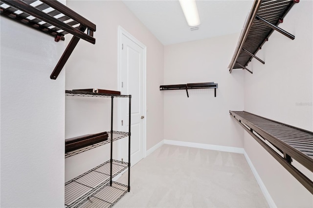 spacious closet featuring carpet flooring