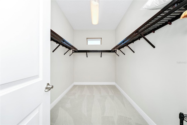 spacious closet featuring light colored carpet