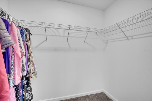 spacious closet with carpet floors