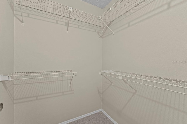 spacious closet with carpet