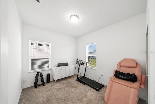 workout area featuring carpet, baseboards, and a textured ceiling