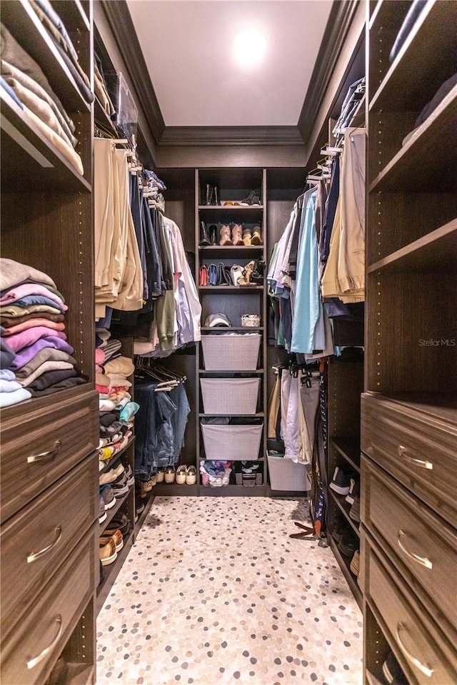 view of walk in closet