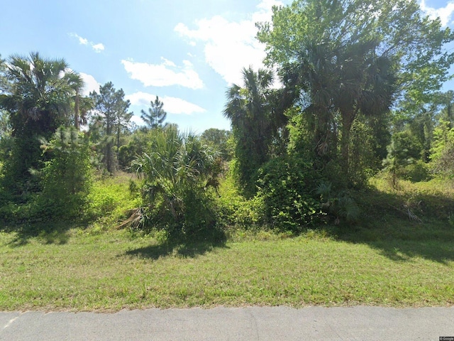 817 Paradise Blvd, Georgetown FL, 32139 land for sale