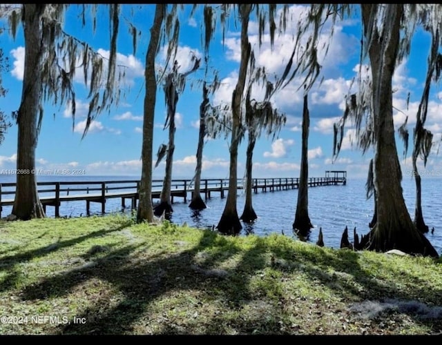 Listing photo 3 for 817 Paradise Blvd, Georgetown FL 32139