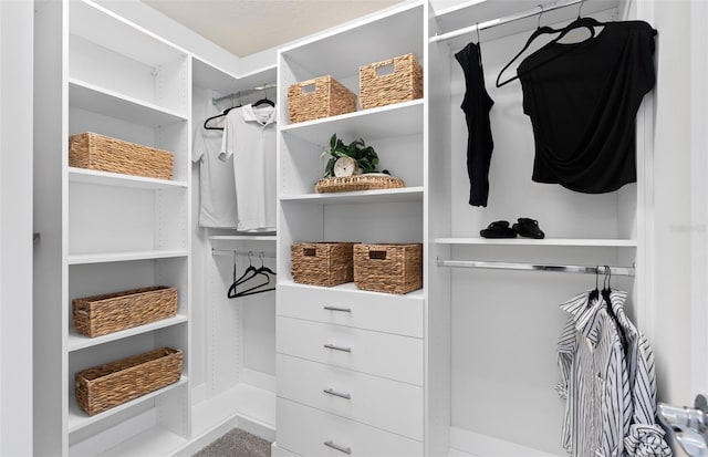 view of spacious closet