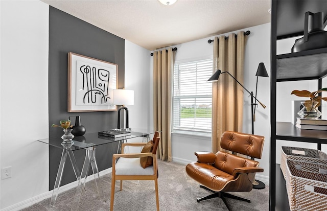 office area featuring carpet floors and baseboards