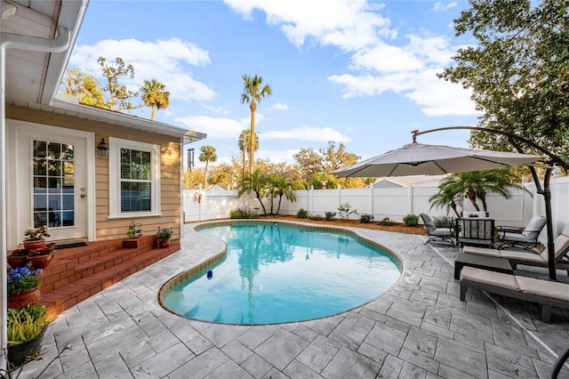 view of pool featuring a patio, a fenced backyard, and a fenced in pool