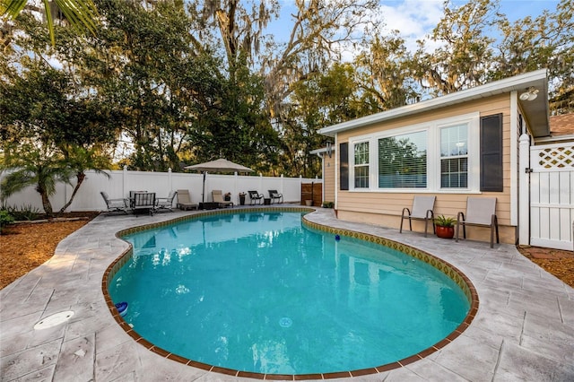 view of swimming pool with a patio, a fenced backyard, and a fenced in pool