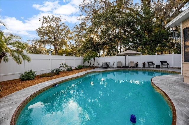 view of pool featuring a fenced in pool, a fenced backyard, and a patio