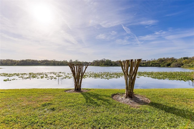 water view